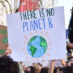 Ocean advocacy is an ever-growing network of informed individuals motivated by a love of the ocean and an understanding that global connection is a powerful way to defend and sustain the ocean. Advocacy