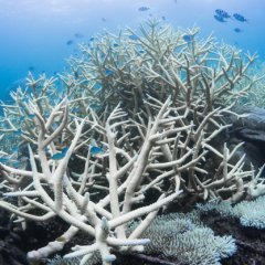 Ocean and Climate Ocean and Climate