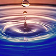 Natural Asset Value and Ecosystem Services Ocean Finance