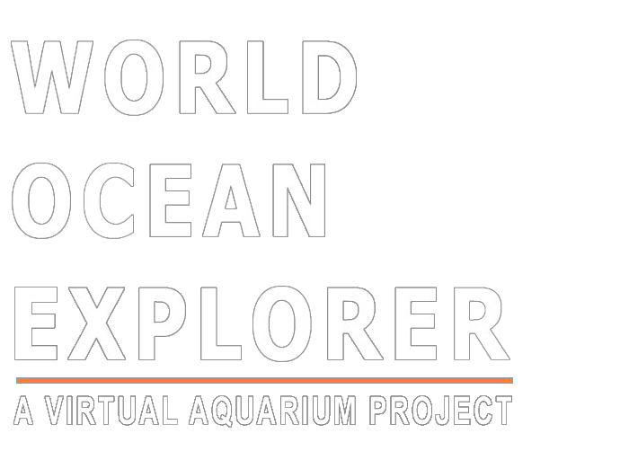 virtual aquarium tours free